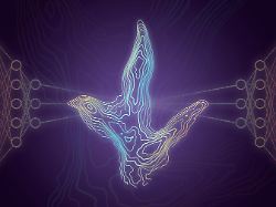 A%20Jurassic Aged%20dinosaur%20footprint%20from%20the%20Isle%20of%20Skye,%20Scotland,%20displayed%20in%205%20mm%20contours%20from%20a%20photogrammetric%20model.%20Credit%20Tone%20Blakesley.
