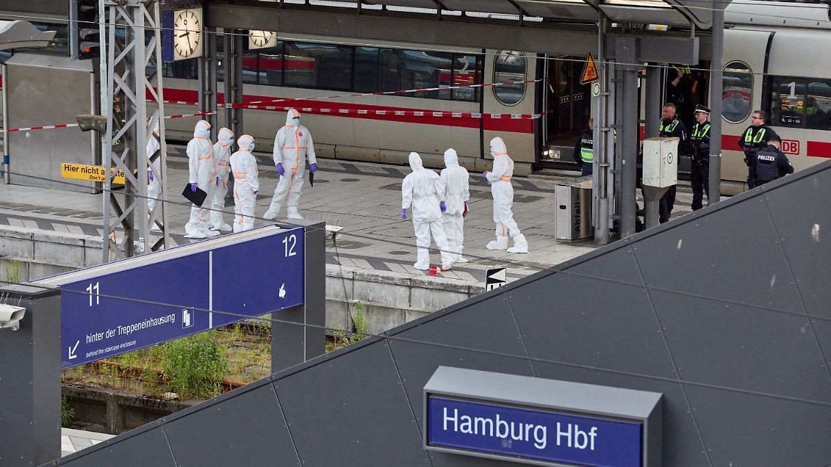 Wahllose-Stiche-am-Hauptbahnhof-Messerangreiferin-von-Hamburg-muss-in-Psychiatrie