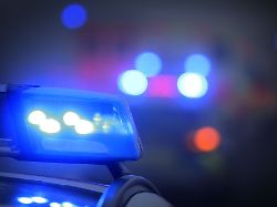 Bayern: Ast bricht wegen Schneelast: Radfahrer in Lebensgefahr