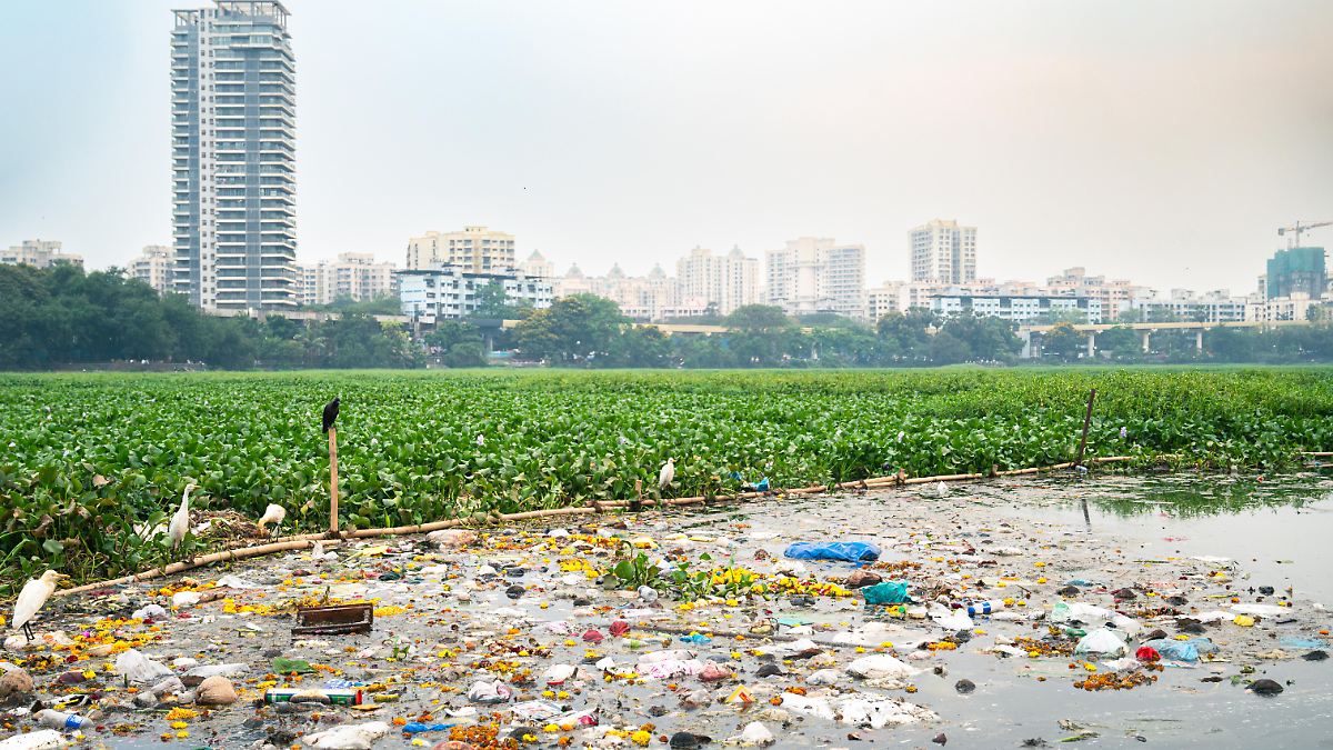 Von-Produktion-bis-Entsorgung-Studie-Plastik-wird-Millionen-gesunder-Lebensjahre-kosten