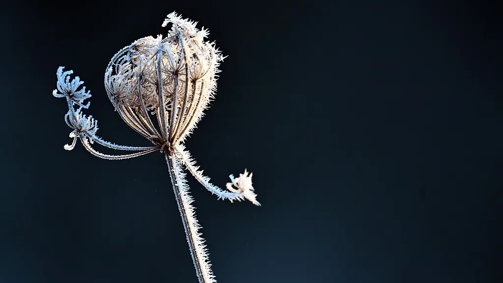 In-den-naechsten-Tagen-ist-in-den-Morgenstunden-weiterhin-mit-Glaette-zu-rechnen