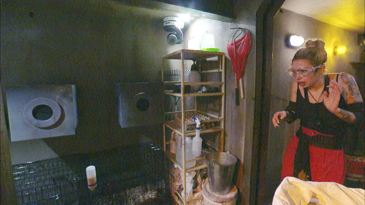 ACHTUNG-SPERRFRIST-FUeR-ALLE-MEDIEN-BIS-ZUM-SHOWENDE-DIENSTAG-27-JANUAR-2026-22-30-UHR-Ariel-in-der-Dschungelpruefung-Dschungelpruefungs-Baehro-Die-Verwendung-des-sendungsbezogenen-Materials-ist-nur-mit-dem-Hinweis-und-Verlinkung-auf-RTL-gestattet