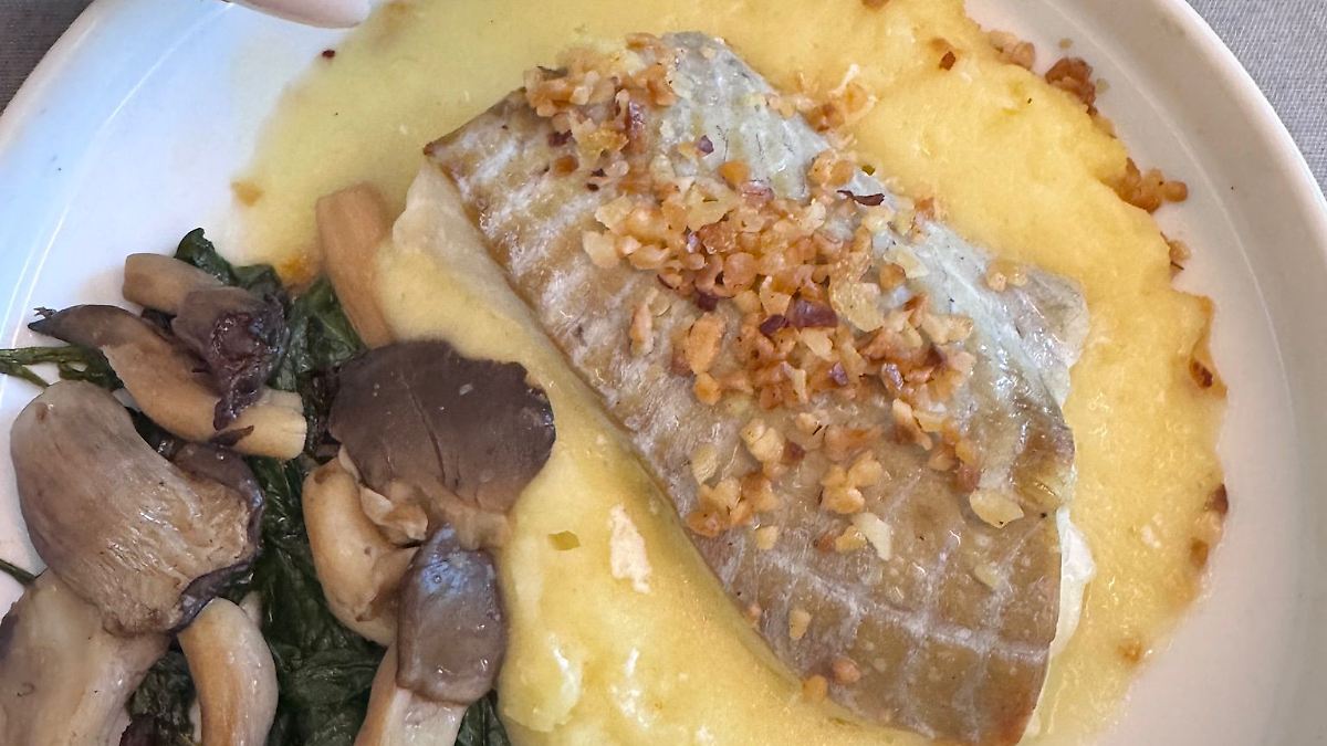 Oetker-geht-essen-Warum-Flugzeugessen-so-viel-besser-sein-kann-als-sein-Ruf