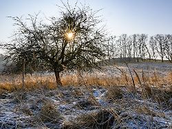 Berlin & Brandenburg: Glätte in Berlin und Brandenburg - ruhige Verkehrslage
