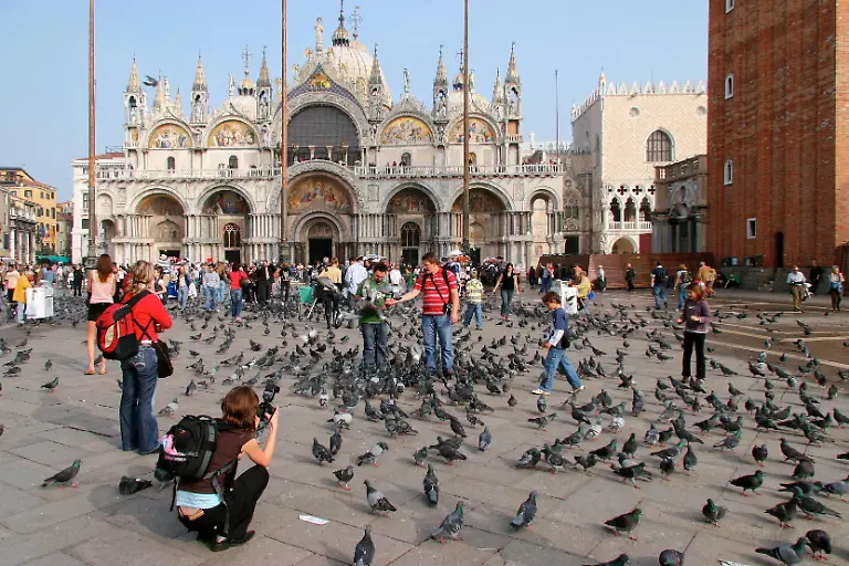 Photographing-the-pigeons-in-front-of-Basilica-di-San-Marco-a-Venezia