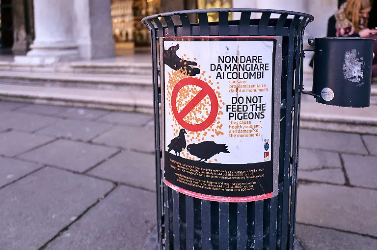 Venedig-Venezia-Venice-Markusplatz-Tauben-fuettern-verboten-do-not-feed-the-pigeons-non-dare-da-mangiare-ai-colombi-23-03