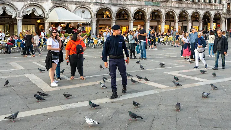 Tauben-auf-dem-Markusplatz-in-Venedig