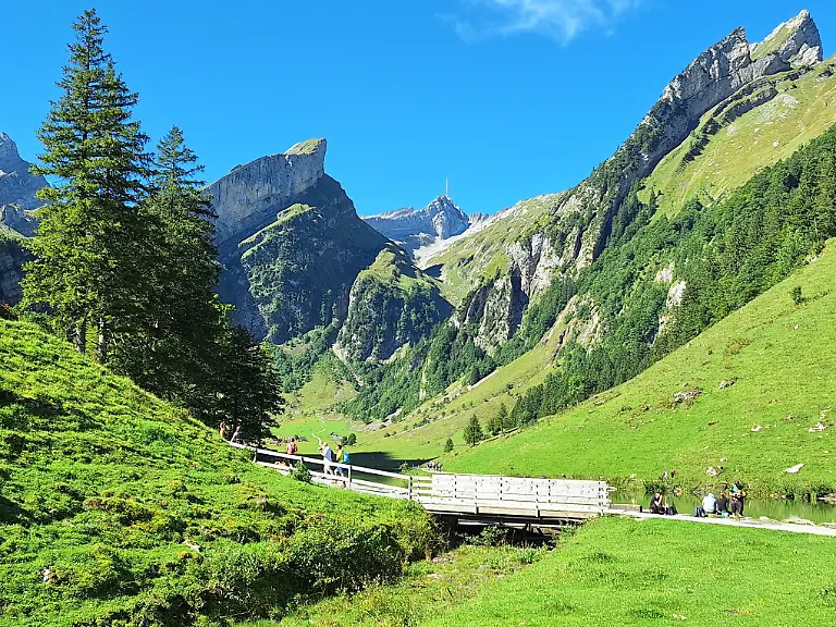 Bild-Der-Bergsee-Seealpsee-im-Appenzeller-Alpsteingebiet-im-Kanton-Appenzell-Innerrhoden-Im-Hintergrund-der-Berg-S-ntis-Themenbild-Seealpsee-S-ntis-Appenzell-Appenzeller-Alpen-Alpsteingebiet-Schweiz-31-08