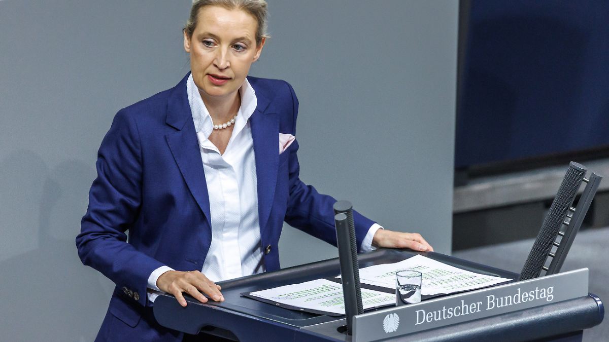 AfD-zwischen-USA-und-Russland-Mit-Weidel-s-e-Deutschland-in-Trumps-Friedensrat