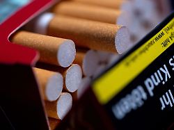 Zehntausende Tote und Kosten: Koalitionspolitiker erwägen höhere Tabaksteuer