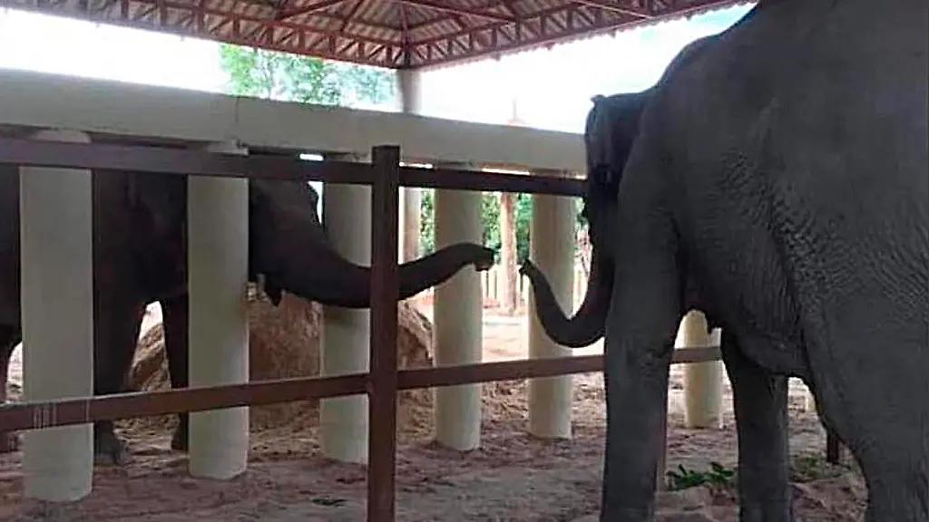 6568940049a999e8eee4f83f12b2128f