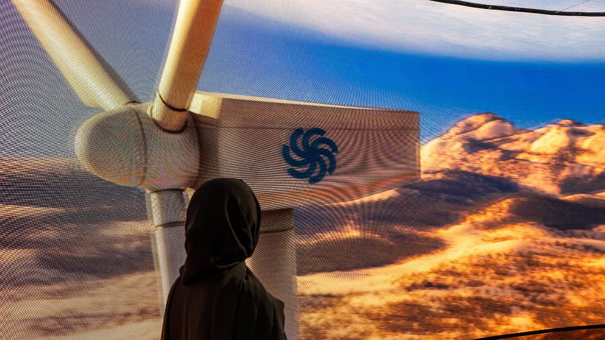 Autokraten-begreifen-den-Wandel-Ganz-ehrlich-Europa-macht-Energiewende-so-als-w-rde-man-wollen-dass-sie-scheitert-