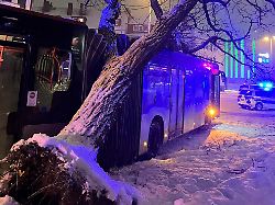 Niedersachsen & Bremen: Gelenkbus verkeilt sich mit Baum – Feuerwehr rückt aus