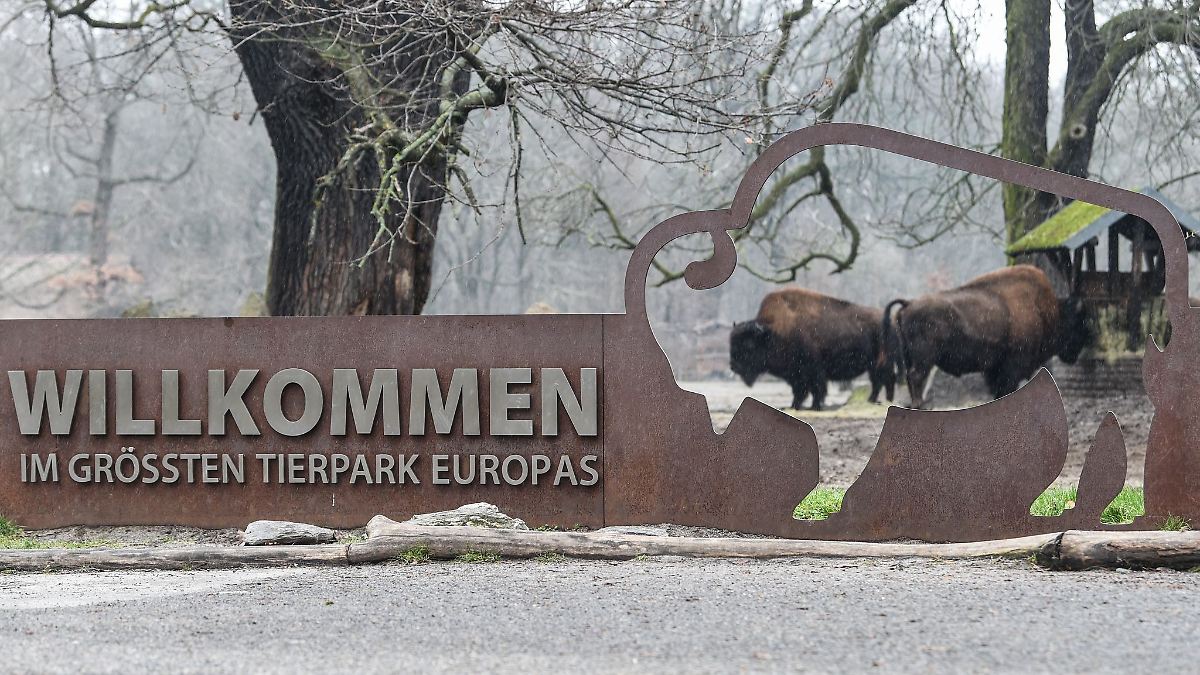 Eintritt Im Tierpark Berlin
