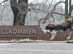 Berlin & Brandenburg: Tierpark: Kostenloser Eintritt im Februar für Besucher ab 65
