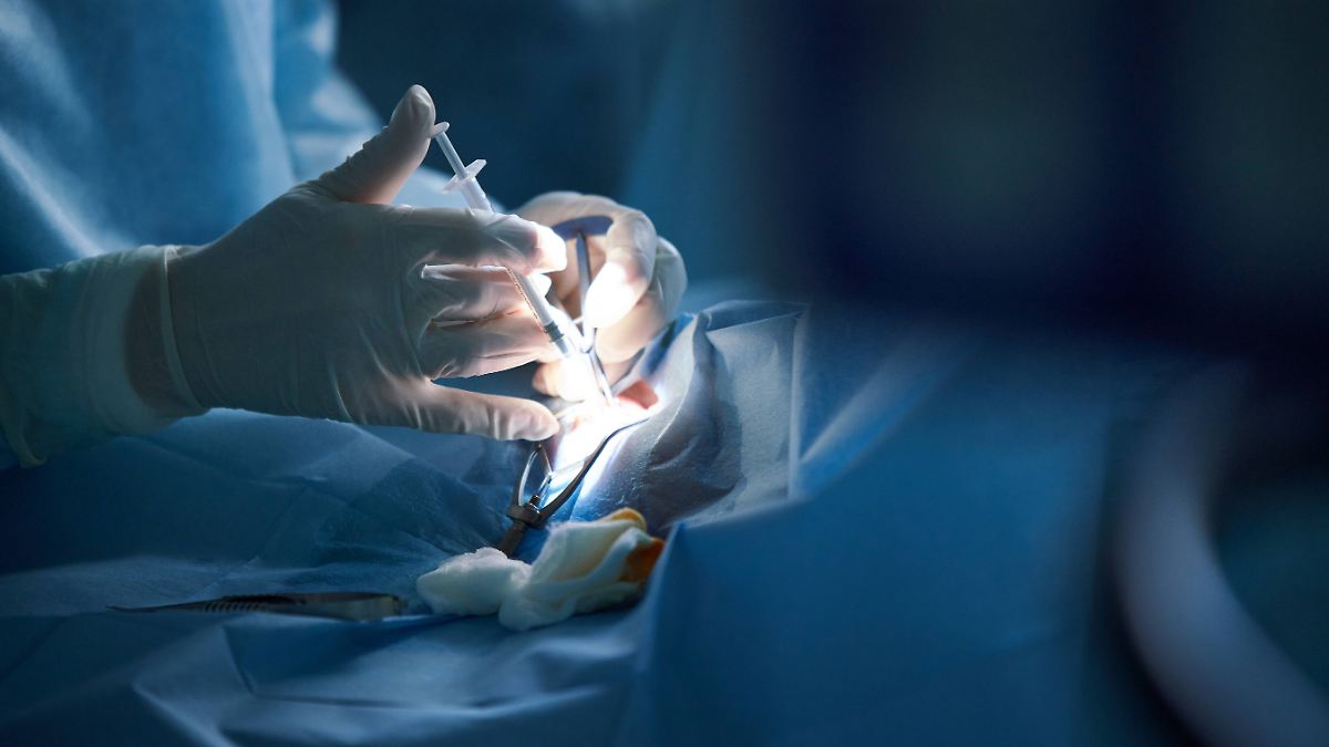 Diamantenh-ndler-gestorben-Chirurgen-verlieren-Zulassung-nach-Tod-bei-Penisvergr-erung