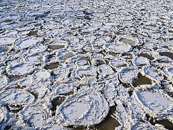 Sachsen-Anhalt: Eisschollen - kein Schiffsverkehr auf dem Mittellandkanal