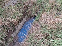 Rheinland-Pfalz & Saarland: Weiteres Gewässer verunreinigt: Schwarze Flüssigkeit in Bach