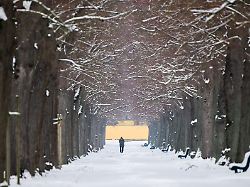 Niedersachsen & Bremen: Winterwetter im Norden: Glätte, Unfälle, Unterrichtsausfälle