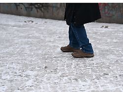 Berlin & Brandenburg: Naturschutzbund nennt Salz-Einsatz "Schnapsidee"