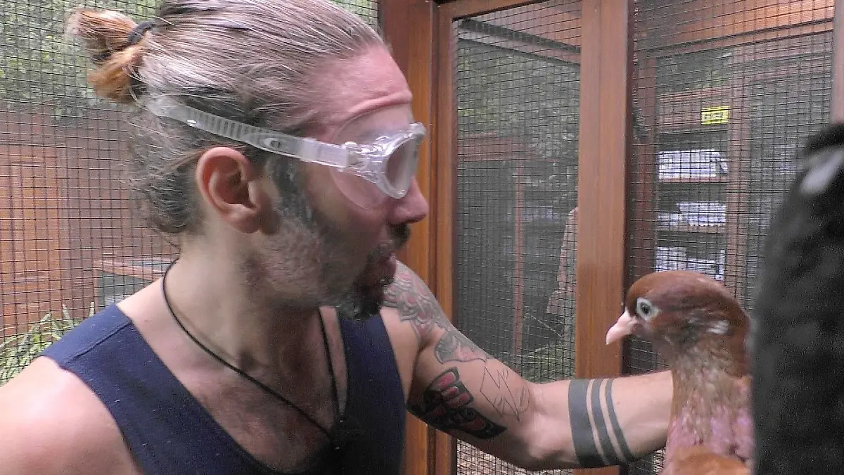 ACHTUNG-SPERRFRIST-FUeR-ALLE-MEDIEN-BIS-ZUM-SHOWENDE-FREITAG-30-JANUAR-2026-23-15-UHR-Gil-Ofarim-in-der-Dschungelpruefung-MurwillumBAH-Videocenter-Die-Verwendung-des-sendungsbezogenen-Materials-ist-nur-mit-dem-Hinweis-und-Verlinkung-auf-RTL-gestattet