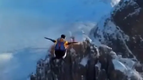MerzPinguin