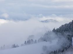 Baden-Württemberg: Wo es im Südwesten am Wochenende glatt und neblig wird