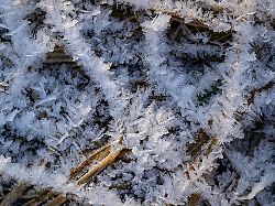 Berlin & Brandenburg: Frostig in Berlin und Brandenburg - zweistellige Minusgrade