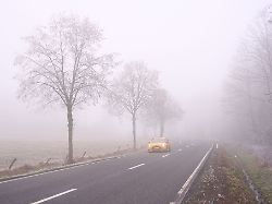 Rheinland-Pfalz & Saarland: Grau und mild im Südwesten – Glättegefahr im Bergland