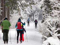 Thüringen: Fast 800 Kilometer Langlaufrouten im Thüringer Wald gespurt