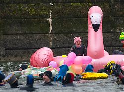 Bayern: Mehr als 1.800 Schwimmer trotzen eisiger Donau