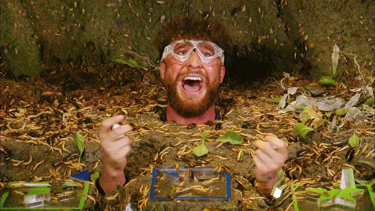 ACHTUNG-SPERRFRIST-FUeR-ALLE-MEDIEN-BIS-ZUM-SHOWENDE-SAMSTAG-31-JANUAR-2026-22-30-UHR-Umut-Tekin-in-der-Dschungelpruefung-Die-Genoehle-Hoehle-Die-Verwendung-des-sendungsbezogenen-Materials-ist-nur-mit-dem-Hinweis-und-Verlinkung-auf-RTL-gestattet