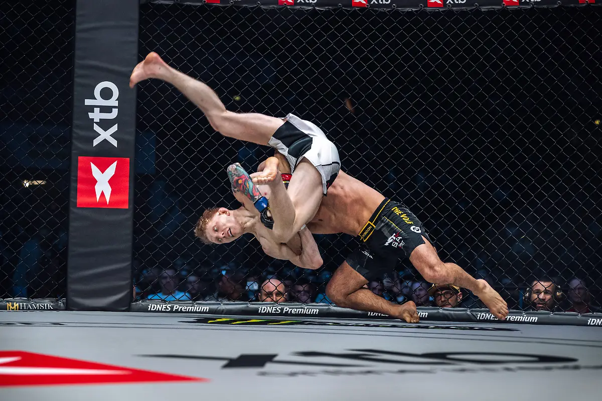 20260131182517_PD1559315593