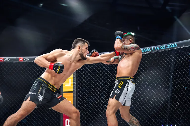 20260131212637_PD1919019190