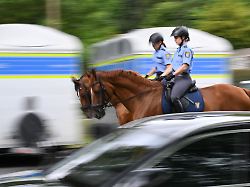 Hessen: Polizeipferde in Hessen – mehr als 200 Einsätze im Jahr