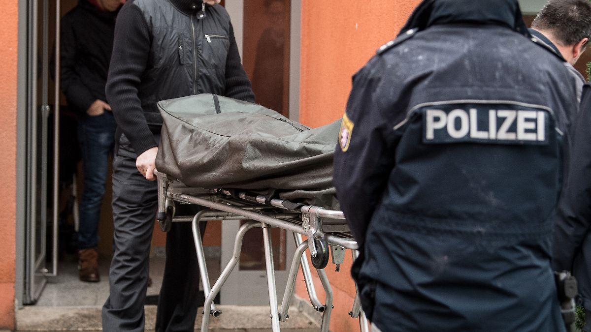 Zwischen-M-ll-versteckt-Arbeiter-entr-mpeln-Wohnung-und-sto-en-auf-skelettierte-Leiche