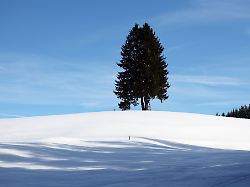 Bayern: Regen, Schnee und Sonne: Bayerns Wetter bleibt unbeständig