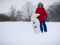 Niedersachsen & Bremen: Weiterhin eisige Temperaturen in Niedersachsen und Bremen