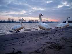 Nordrhein-Westfalen: Glatte Straßen zum Wochenstart in NRW