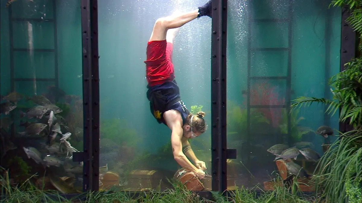 ACHTUNG-SPERRFRIST-FUeR-ALLE-MEDIEN-BIS-ZUM-SHOWENDE-SONNTAG-01-FEBRUAR-2026-22-30-UHR-Gil-Ofarim-in-der-Dschungelpruefung-Dschungel-Argh-Quarium-Die-Verwendung-des-sendungsbezogenen-Materials-ist-nur-mit-dem-Hinweis-und-Verlinkung-auf-RTL-gestattet