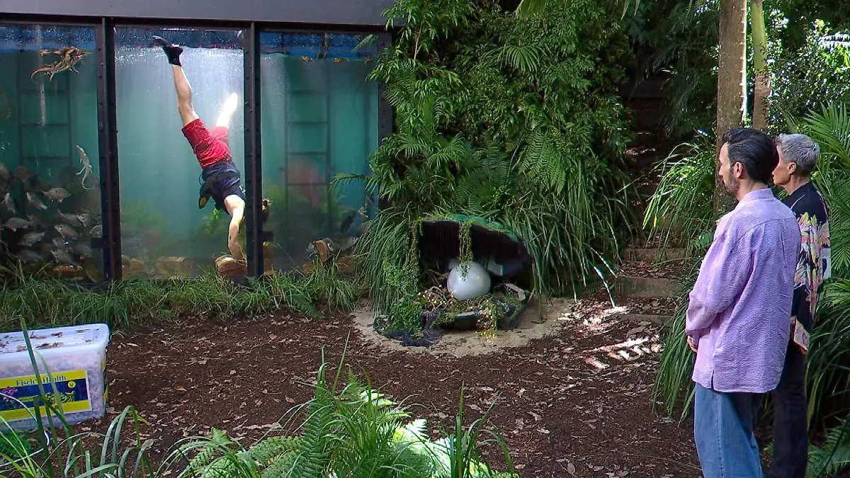 ACHTUNG-SPERRFRIST-FUeR-ALLE-MEDIEN-BIS-ZUM-SHOWENDE-SONNTAG-01-FEBRUAR-2026-22-30-UHR-Gil-Ofarim-in-der-Dschungelpruefung-Dschungel-Argh-Quarium-Rechts-Sonja-Zietlow-und-Jan-Koeppen-Die-Verwendung-des-sendungsbezogenen-Materials-ist-nur-mit-dem-Hinweis-und-Verlinkung-auf-RTL-gestattet