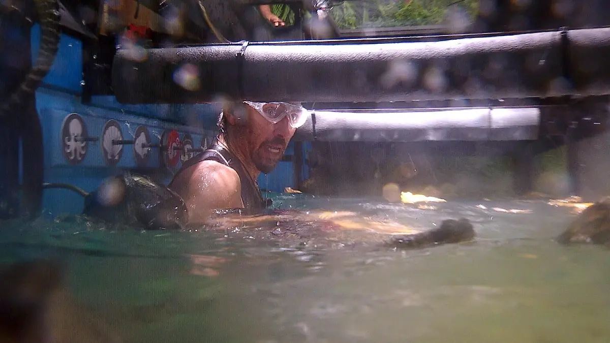 ACHTUNG-SPERRFRIST-FUeR-ALLE-MEDIEN-BIS-ZUM-SHOWENDE-SONNTAG-01-FEBRUAR-2026-22-30-UHR-Gil-Ofarim-in-der-Dschungelpruefung-Dschungel-Argh-Quarium-Die-Verwendung-des-sendungsbezogenen-Materials-ist-nur-mit-dem-Hinweis-und-Verlinkung-auf-RTL-gestattet