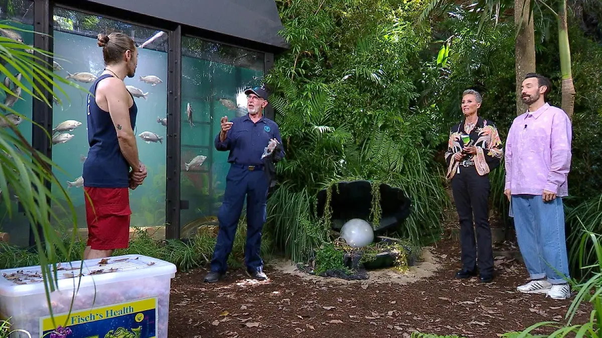 ACHTUNG-SPERRFRIST-FUeR-ALLE-MEDIEN-BIS-ZUM-SHOWENDE-SONNTAG-01-FEBRUAR-2026-22-30-UHR-Gil-Ofarim-l-tritt-zur-Dschungelpruefung-Dschungel-Argh-Quarium-an-und-wird-von-Sonja-Zietlow-und-Jan-Koeppen-bergruesst-Dr-Bob-erklaert-ihm-worauf-er-achten-muss-Die-Verwendung-des-sendungsbezogenen-Materials-ist-nur-mit-dem-Hinweis-und-Verlinkung-auf-RTL-gestattet