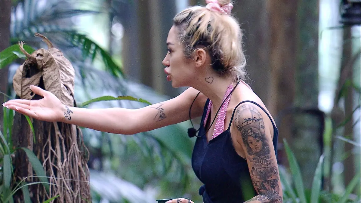 ACHTUNG-SPERRFRIST-FUeR-ALLE-MEDIEN-BIS-ZUM-SHOWENDE-SONNTAG-01-FEBRUAR-2026-22-30-UHR-Im-Camp-sorgt-der-Streit-um-Gils-Bett-erneut-fuer-Zuendstoff-Ariel-wollte-ihren-Schlafplatz-verlegen-Gil-weigerte-sich-umzubauen-und-Ariel-reagierte-wie-Ariel-reagiert-mit-verbalen-teils-beleidigenden-Angriffen-gegen-Patrick-Hardy-und-Gil-Die-Verwendung-des-sendungsbezogenen-Materials-ist-nur-mit-dem-Hinweis-und-Verlinkung-auf-RTL-gestattet