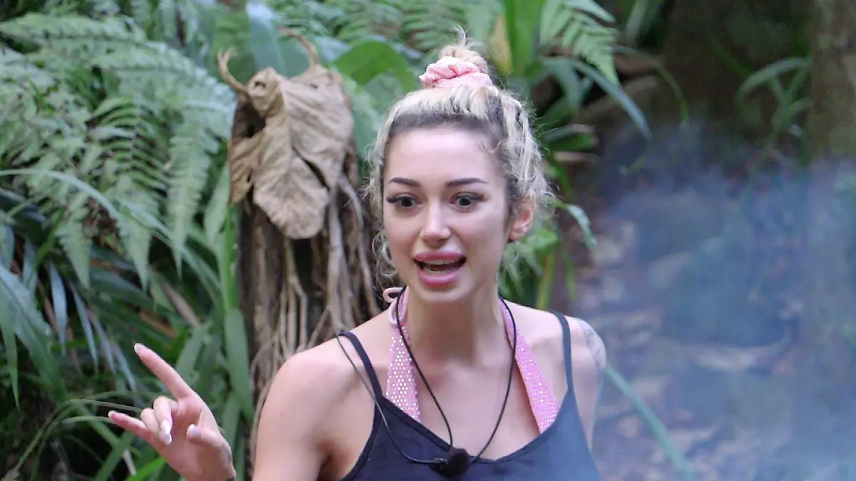 ACHTUNG-SPERRFRIST-FUeR-ALLE-MEDIEN-BIS-ZUM-SHOWENDE-SONNTAG-01-FEBRUAR-2026-22-30-UHR-Im-Camp-sorgt-der-Streit-um-Gils-Bett-erneut-fuer-Zuendstoff-Ariel-wollte-ihren-Schlafplatz-verlegen-Gil-weigerte-sich-umzubauen-und-Ariel-reagierte-wie-Ariel-reagiert-mit-verbalen-teils-beleidigenden-Angriffen-gegen-Patrick-Hardy-und-Gil-Die-Verwendung-des-sendungsbezogenen-Materials-ist-nur-mit-dem-Hinweis-und-Verlinkung-auf-RTL-gestattet