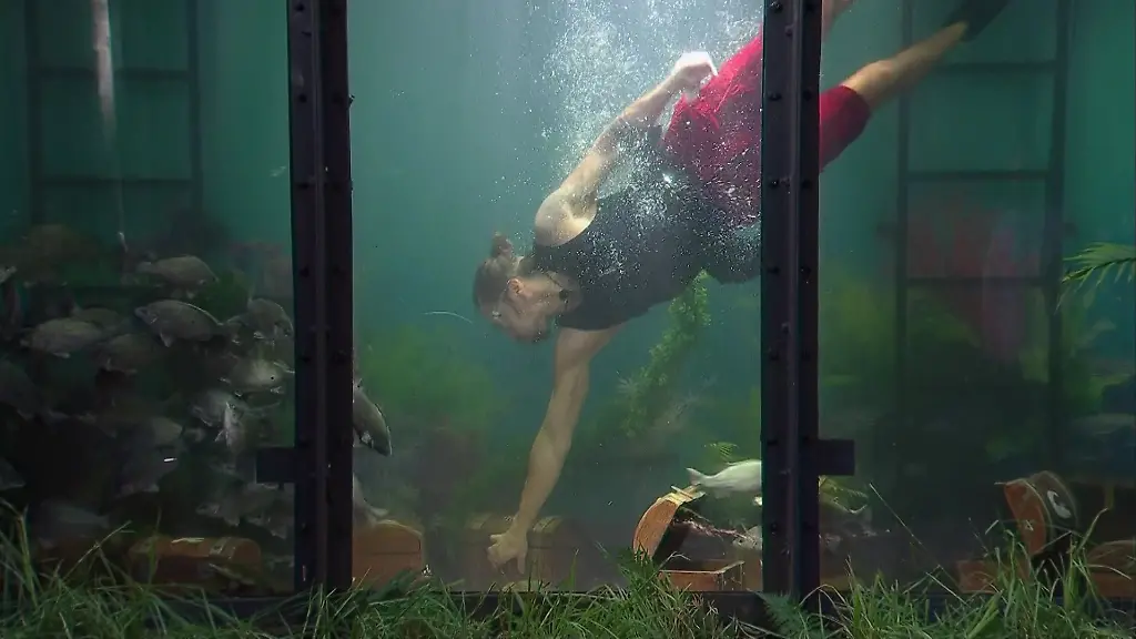 KoelnNews_333355499_4791