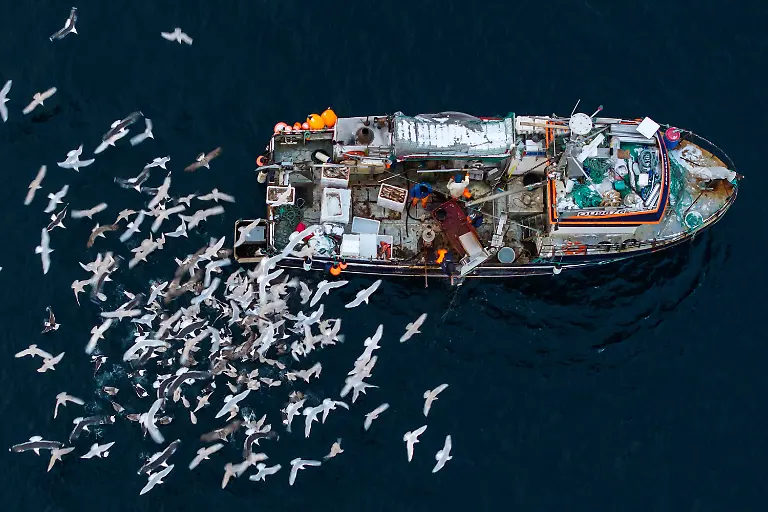 A-drone-view-of-seagulls-flying-over-a-fishing-boat-near-the-village-of-Kapisillit-Greenland-January-20-2026-People-here-are-interested-in-the-day-that-is-coming-Is-there-food-in-the-fridge-Fine-then-I-can-sleep-a-little-longer-If-there-is-no-food-then-I-will-go-out-and-catch-fish-or-go-out-and-shoot-a-reindeer-said-Vanilla-Mathiassen-a-Danish-teacher-in-Kapisillit-who-has-worked-in-towns-and-villages-across-Greenland-for-13-years-REUTERS-Marko-Djurica-SEARCH-DJURICA-GREENLAND-INUIT-FOR-THIS-STORY-SEARCH-WIDER-IMAGE-FOR-ALL-STORIES