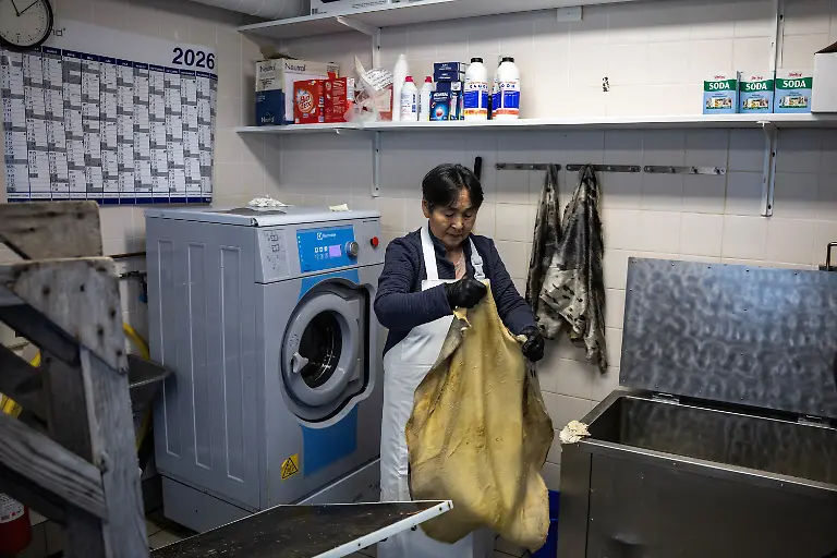 Sealskin-seamstress-Kristiane-Josefsen-works-in-Kapisillit-Greenland-January-20-2026-Josefsen-born-in-1959-works-with-sealskin-washing-processing-and-scraping-it-to-sell-in-Nuuk-for-national-costumes-Scraping-sealskins-is-very-hard-on-the-body-she-said-I-m-staying-here-I-belong-here-This-is-my-land-Greenland-is-my-land-REUTERS-Marko-Djurica-SEARCH-DJURICA-GREENLAND-INUIT-FOR-THIS-STORY-SEARCH-WIDER-IMAGE-FOR-ALL-STORIES
