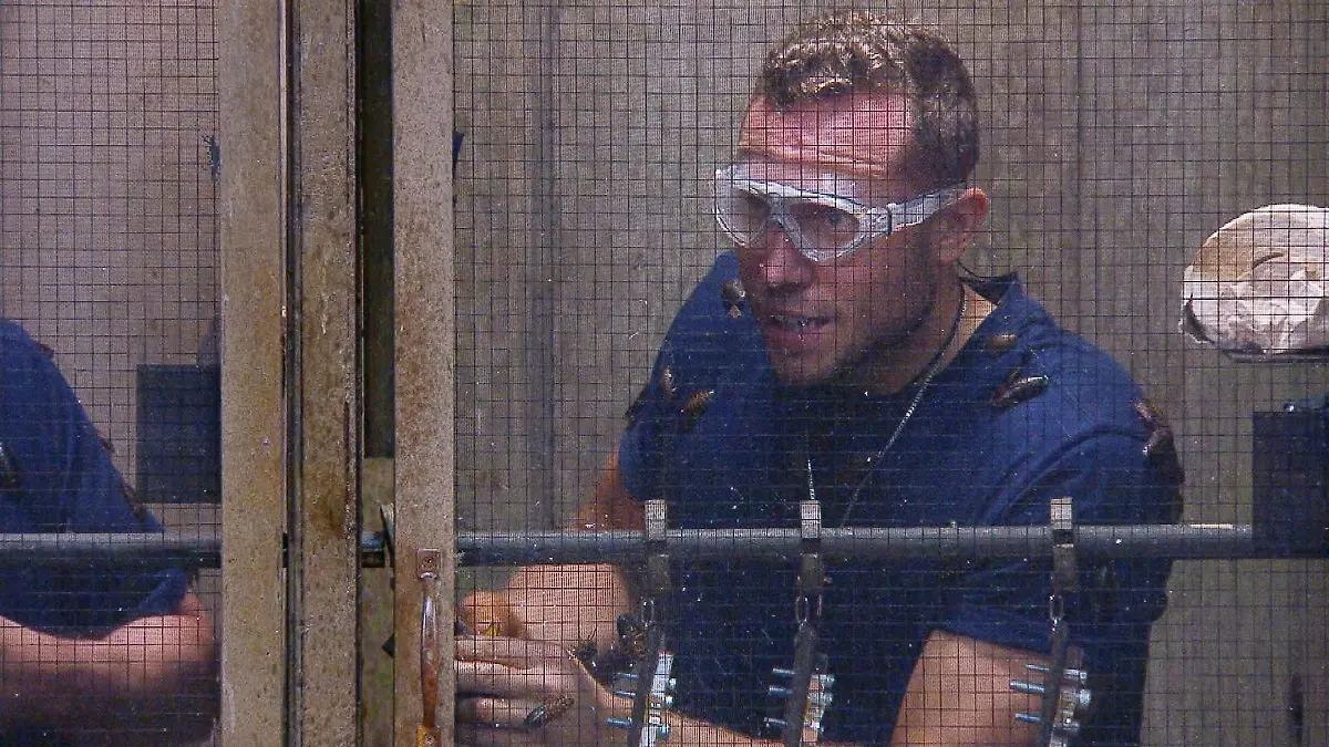 ACHTUNG-SPERRFRIST-FUeR-ALLE-MEDIEN-BIS-ZUM-SHOWENDE-MONTAG-02-FEBRUAR-2026-22-30-UHR-Patrick-Romer-in-der-Dschungelpruefung-Die-WEH-C-Promis-Die-Verwendung-des-sendungsbezogenen-Materials-ist-nur-mit-dem-Hinweis-und-Verlinkung-auf-RTL-gestattet