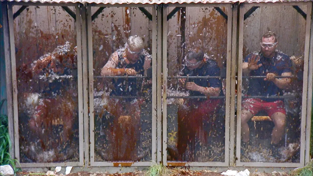 ACHTUNG-SPERRFRIST-FUeR-ALLE-MEDIEN-BIS-ZUM-SHOWENDE-MONTAG-02-FEBRUAR-2026-22-30-UHR-V-l-Simone-Ballack-Hubert-Fella-Hardy-Krueger-und-Patrick-Romer-in-der-Dschungelpruefung-Die-WEH-C-Promis-Die-Verwendung-des-sendungsbezogenen-Materials-ist-nur-mit-dem-Hinweis-und-Verlinkung-auf-RTL-gestattet